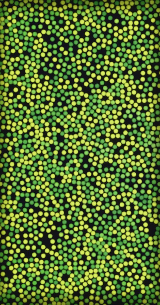 Fully synthetic visuals — welcome to generative video 💫