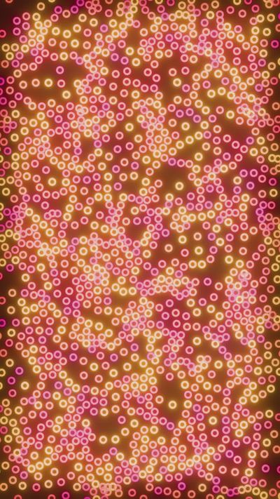 Nicola Narracci's geometric patterns animation video