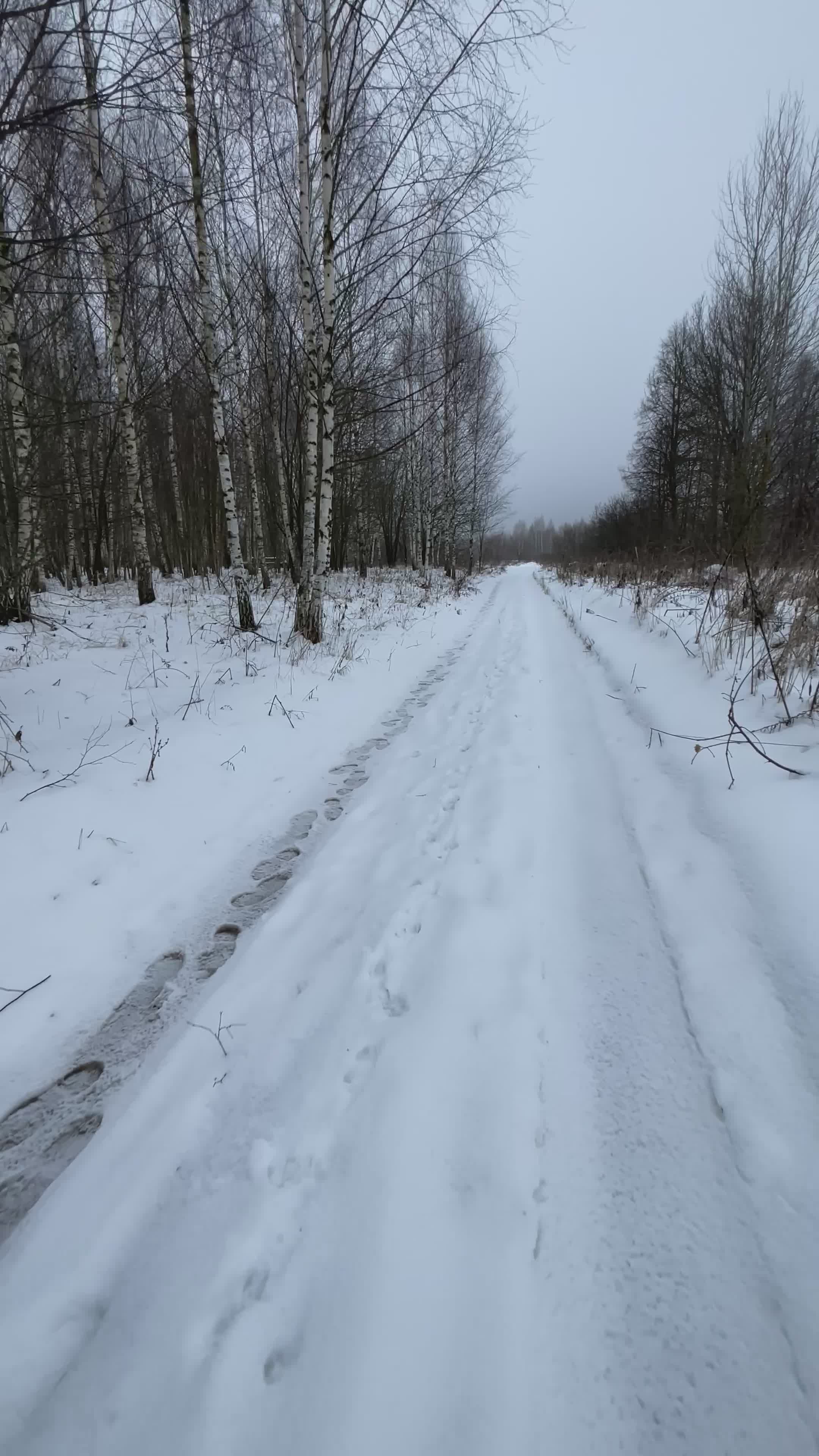 Winter Hike Through Snowy Forest Trail Free Stock Video Footage ...