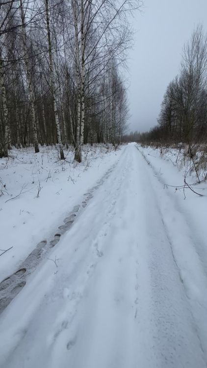Winter Hike Through Snowy Forest Trail Free Stock Video Footage ...