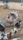 poultry farming