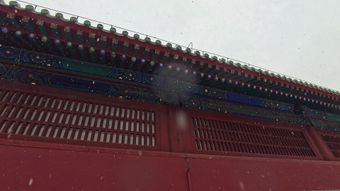 甲午战争视频素材视频素材