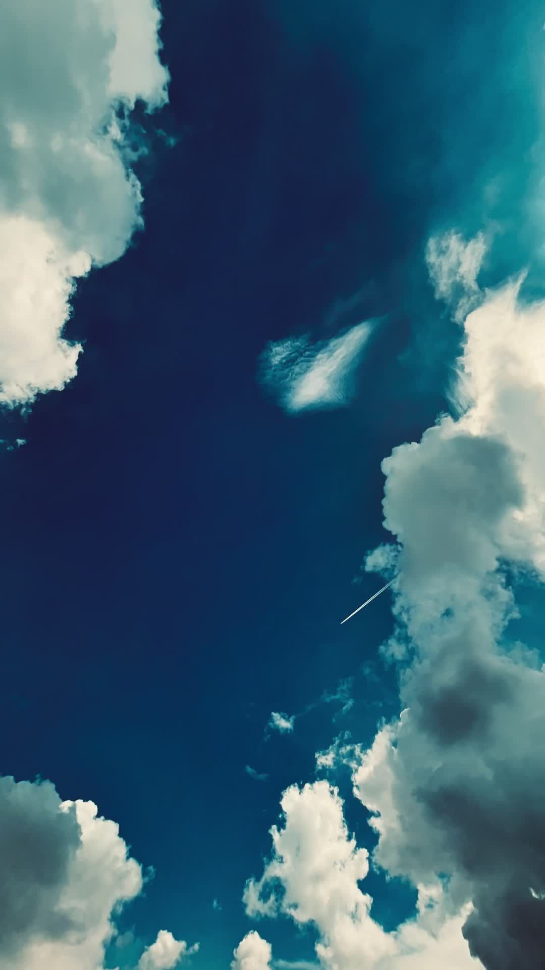 Video by Raj  Bala
