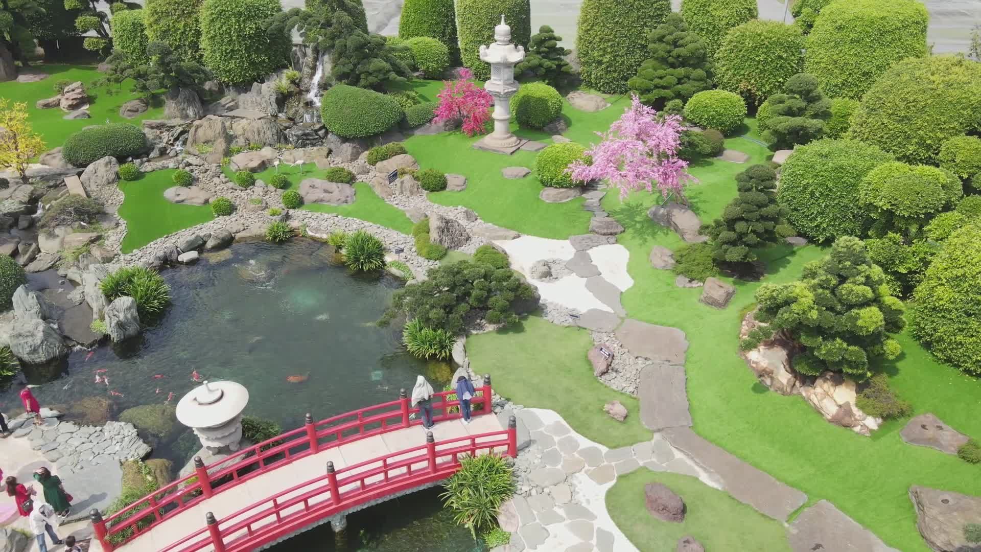 Shrine Trees Videos, Download The BEST Free 4k Stock Video Footage ...