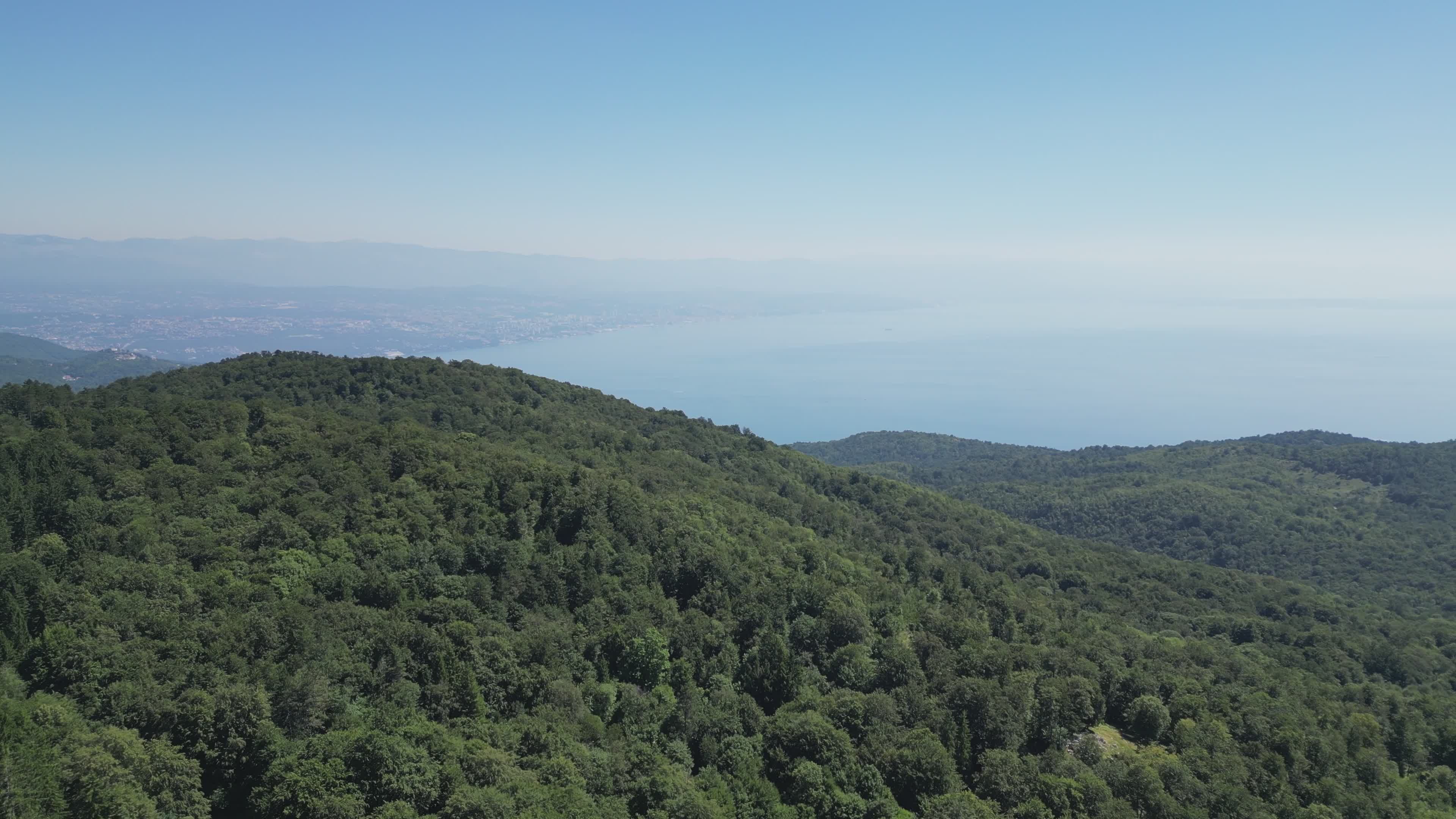 Serene Aerial View of Lush Green Forest and Ocean Free Stock Video ...