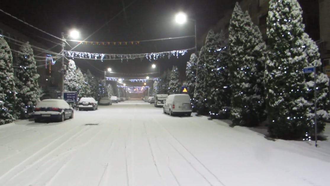 Snow Covered Road And Trees With Christmas Lights Free Stock Video