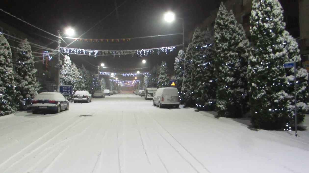 Snow Covered Road And Trees With Christmas Lights Free Stock Video ...