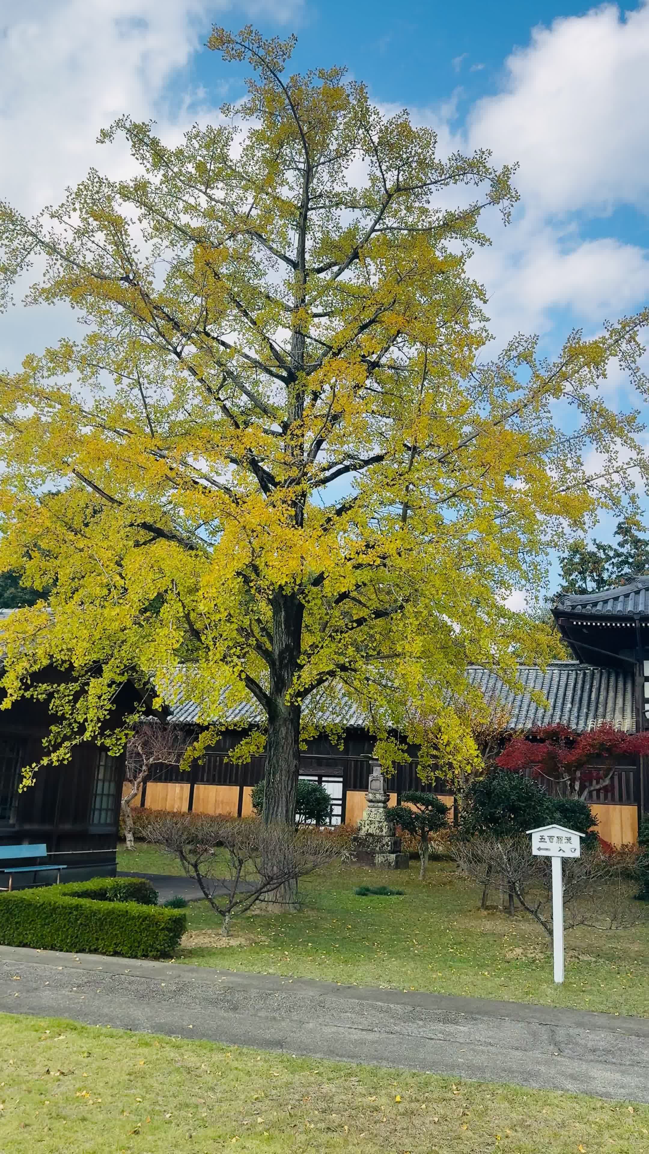 心が洗われる
🎥 Hideyoshi isai · Pexels
#日本 #旅行 #絶景 #風景 #japan