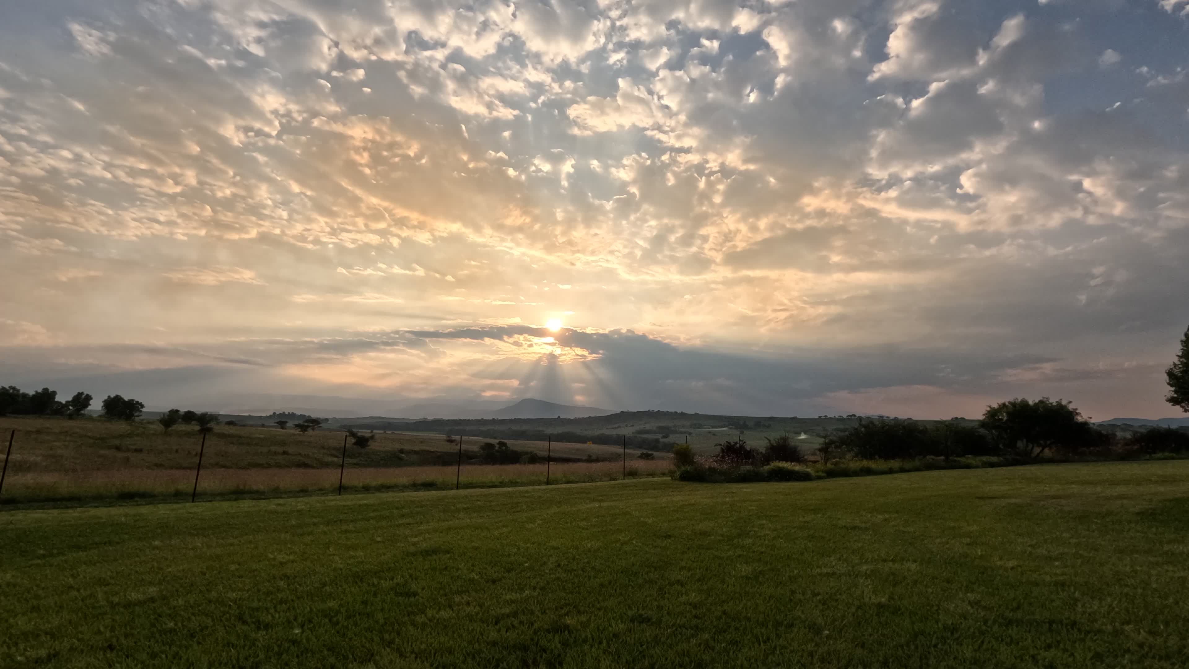 Video by Magda Ehlers