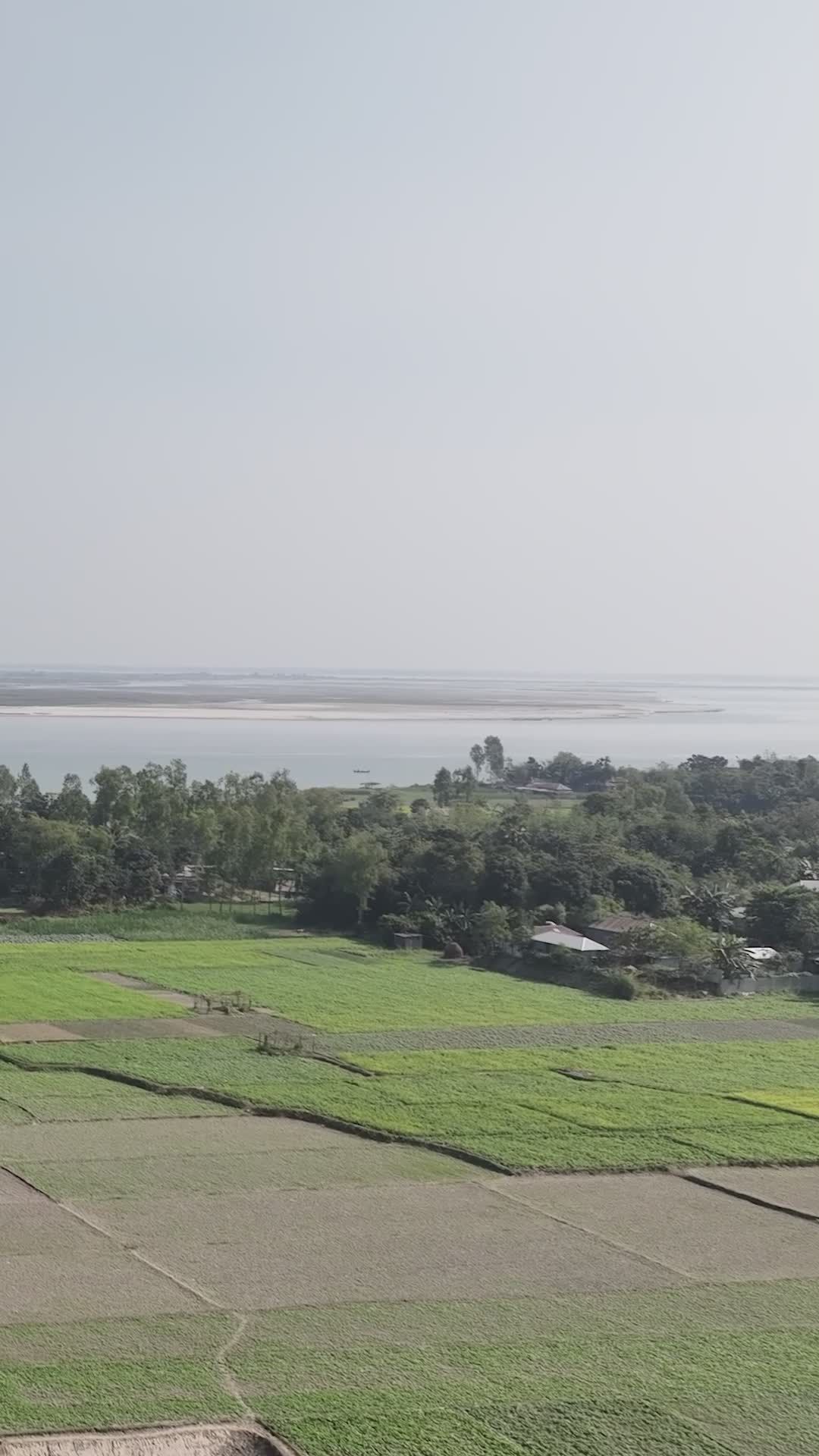 Stunning Aerial View of Green Fields in Bangladesh Free Stock Video ...