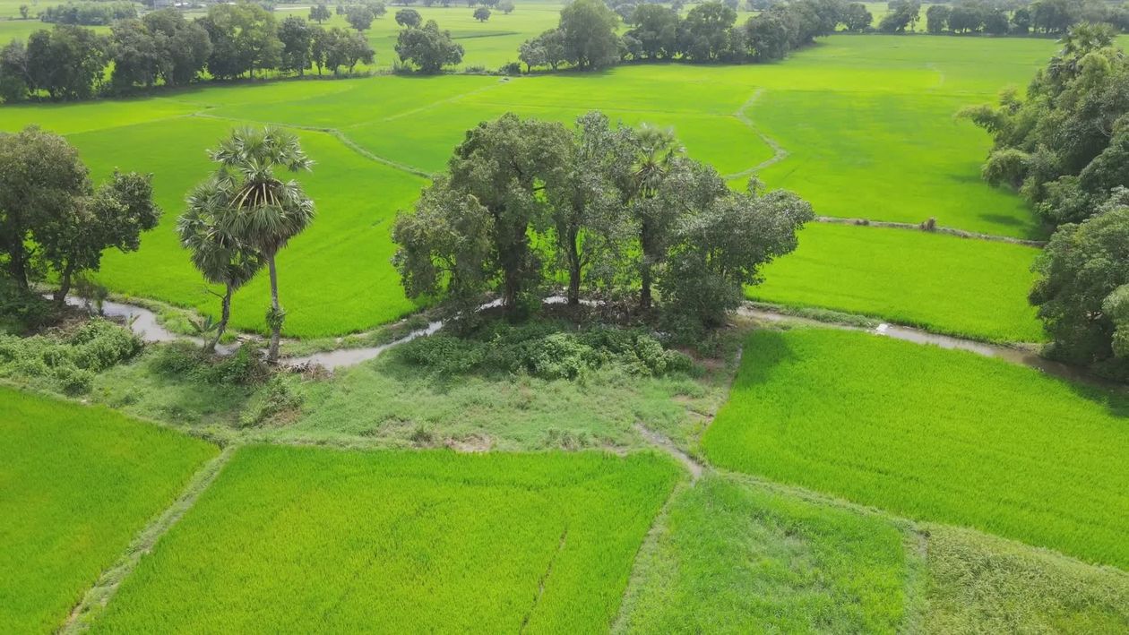 Aerial View of Lush Green Fields and Trees Free Stock Video Footage ...
