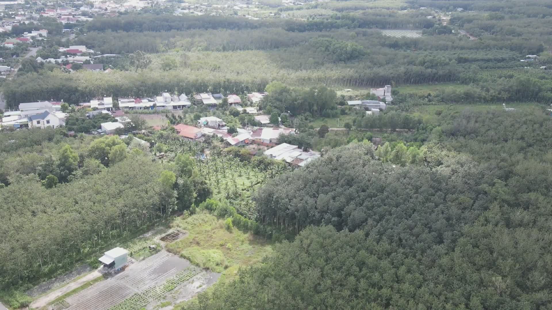 Aerial View of Lush Forested Rural Landscape Free Stock Video Footage ...