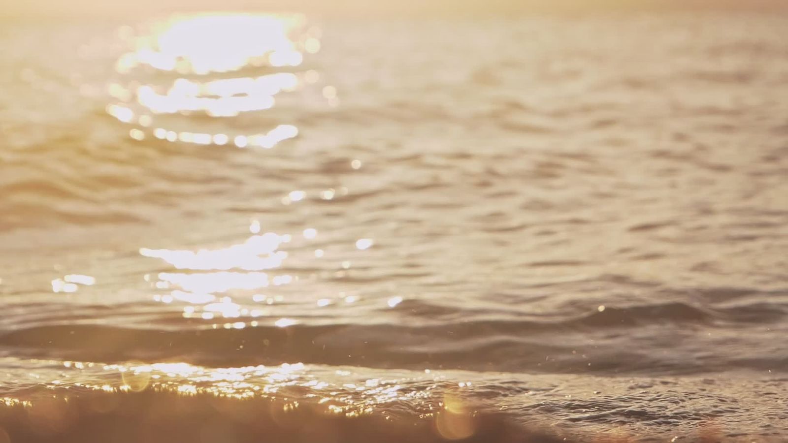 Calming Nature Videos, Download The BEST Free 4k Stock Video Footage ...