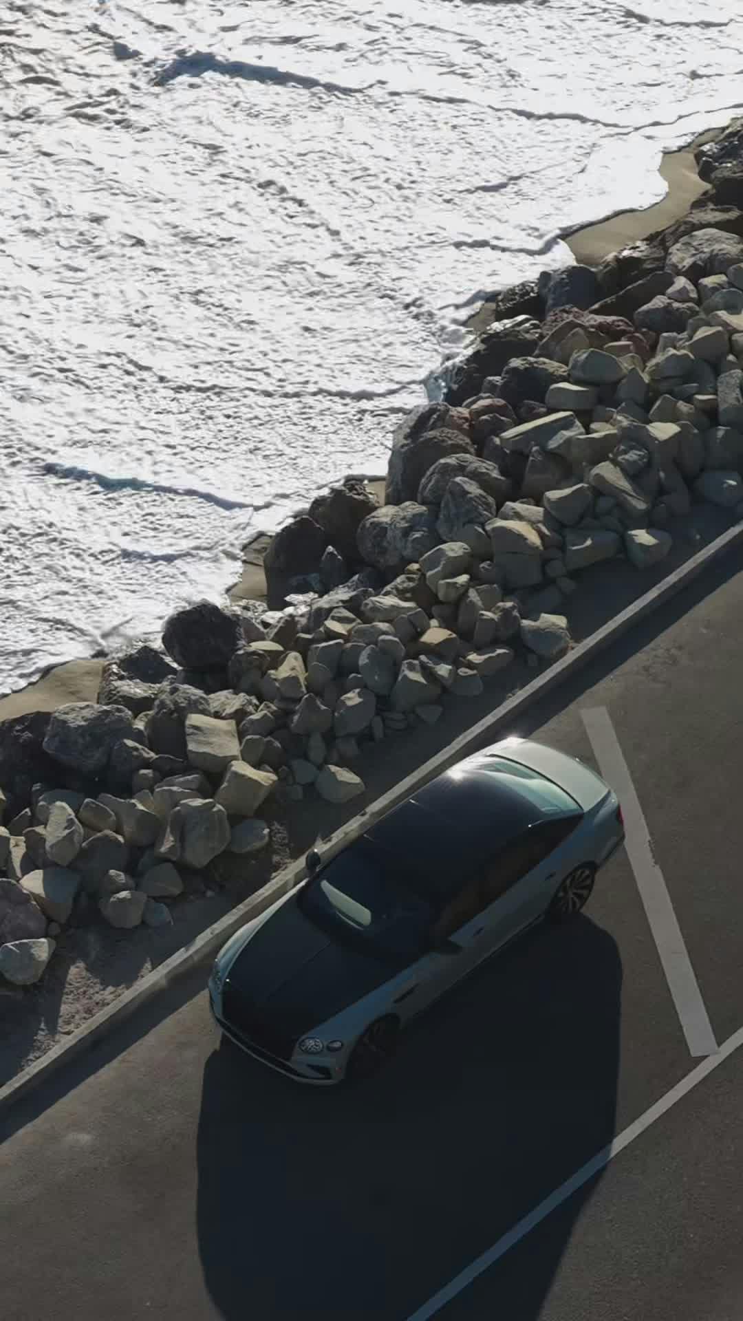 Video by Max Zaharenkov