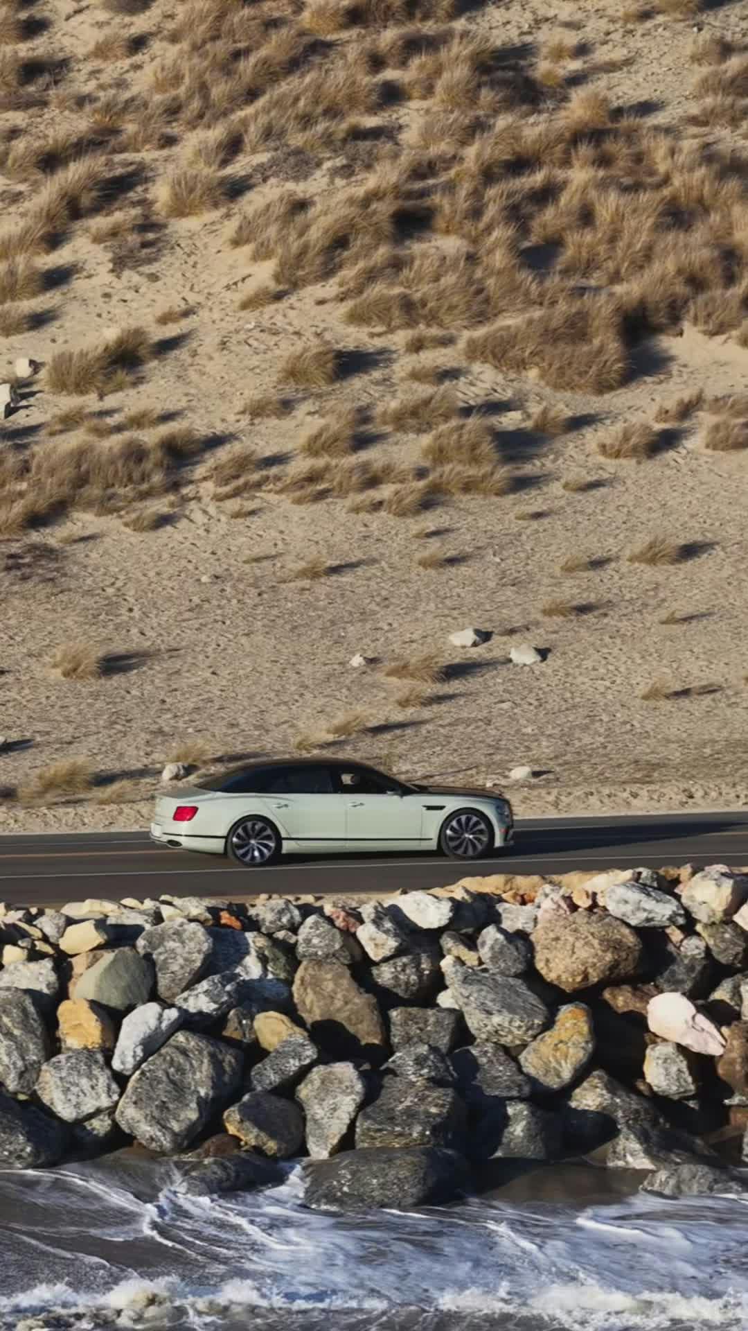 Video by Max Zaharenkov