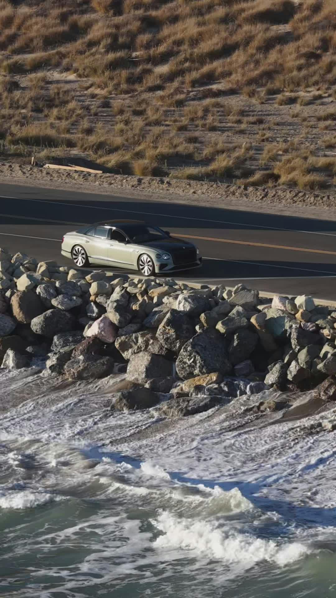 Video by Max Zaharenkov