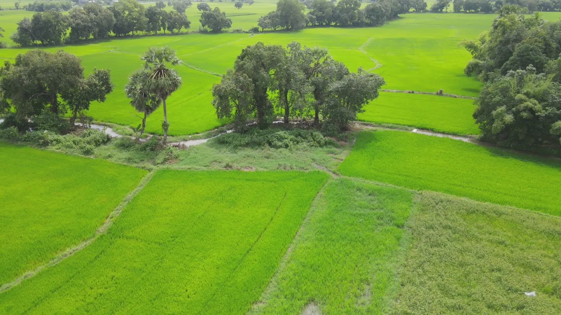 Serene Aerial View of Lush Green Fields Free Stock Video Footage ...
