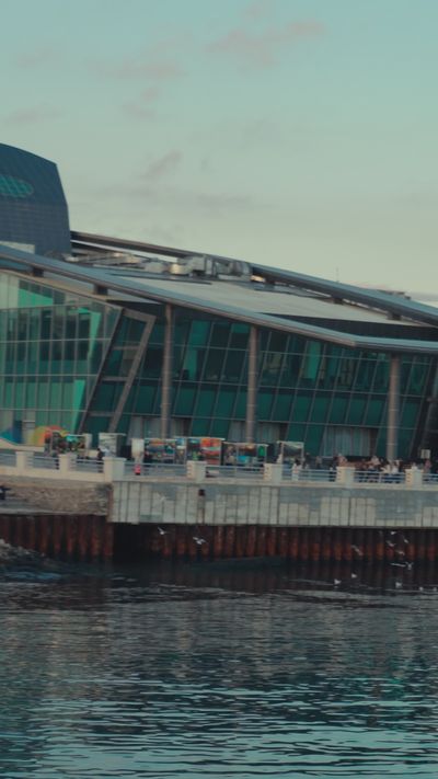 Zulfugar Karimov's architecture modern video