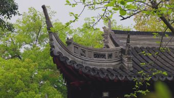 苏州园林下雨高清视频视频素材视频素材