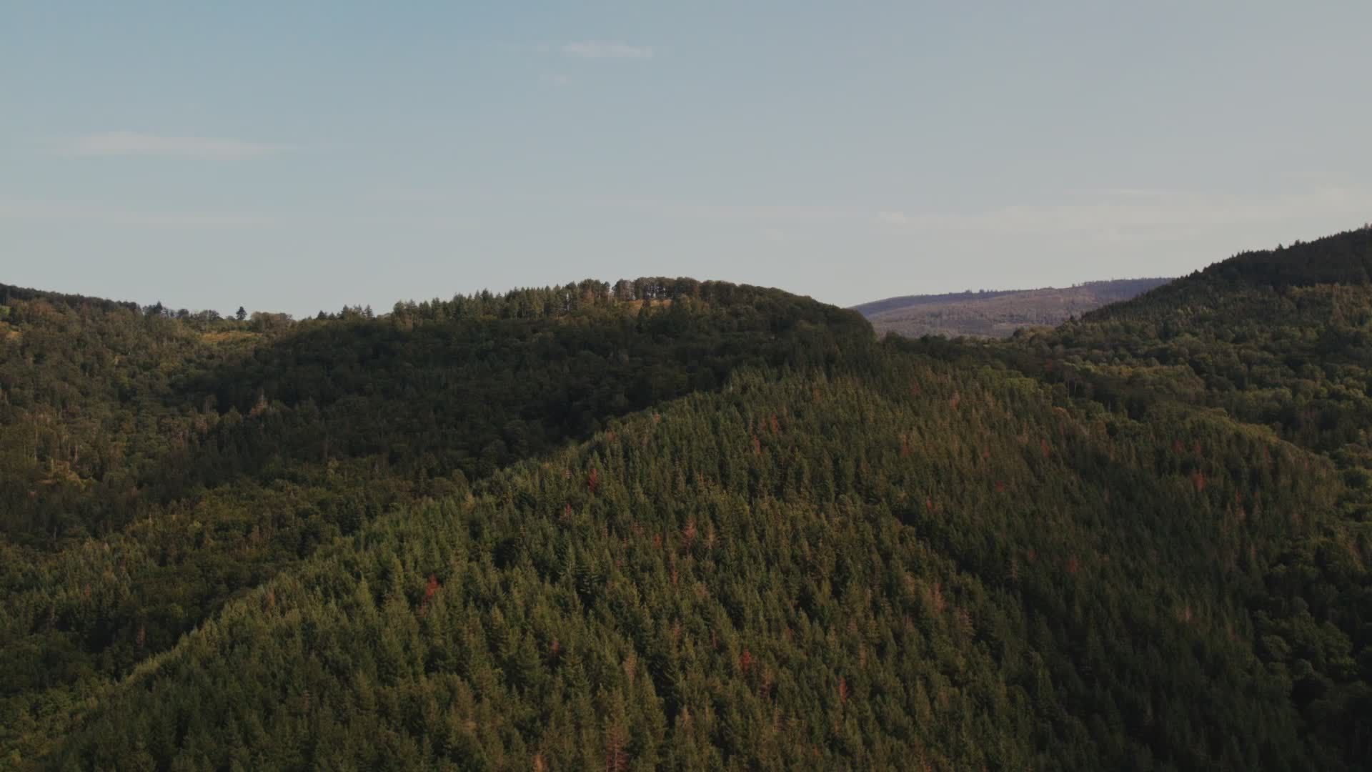 Video by Julien Goettelmann