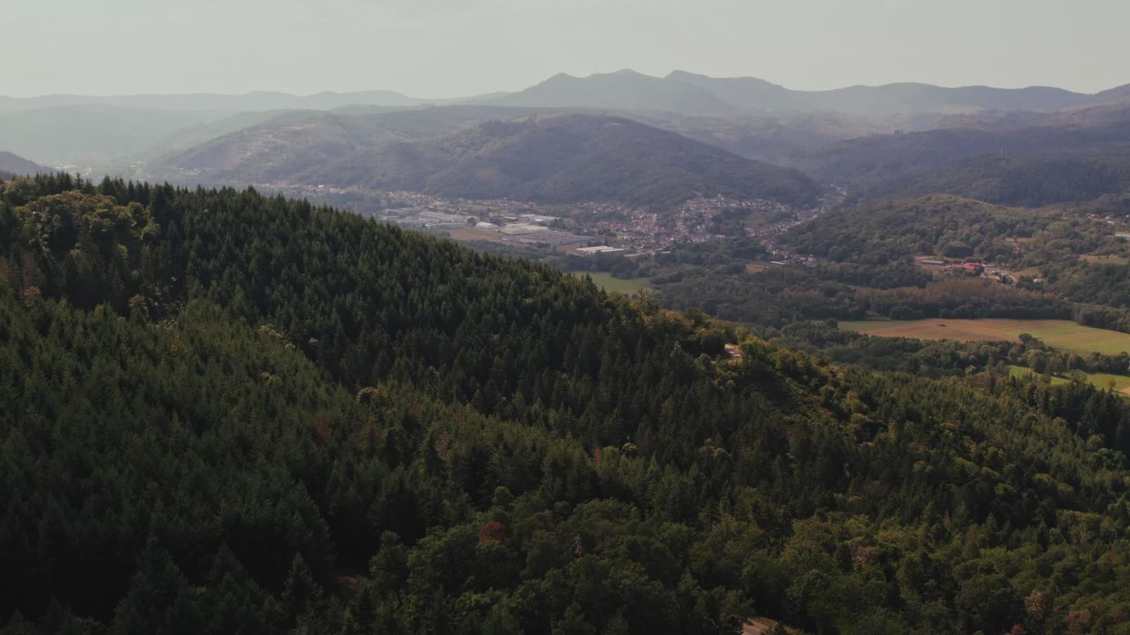 Serene Aerial View of Verdant Forest Landscape Free Stock Video Footage ...