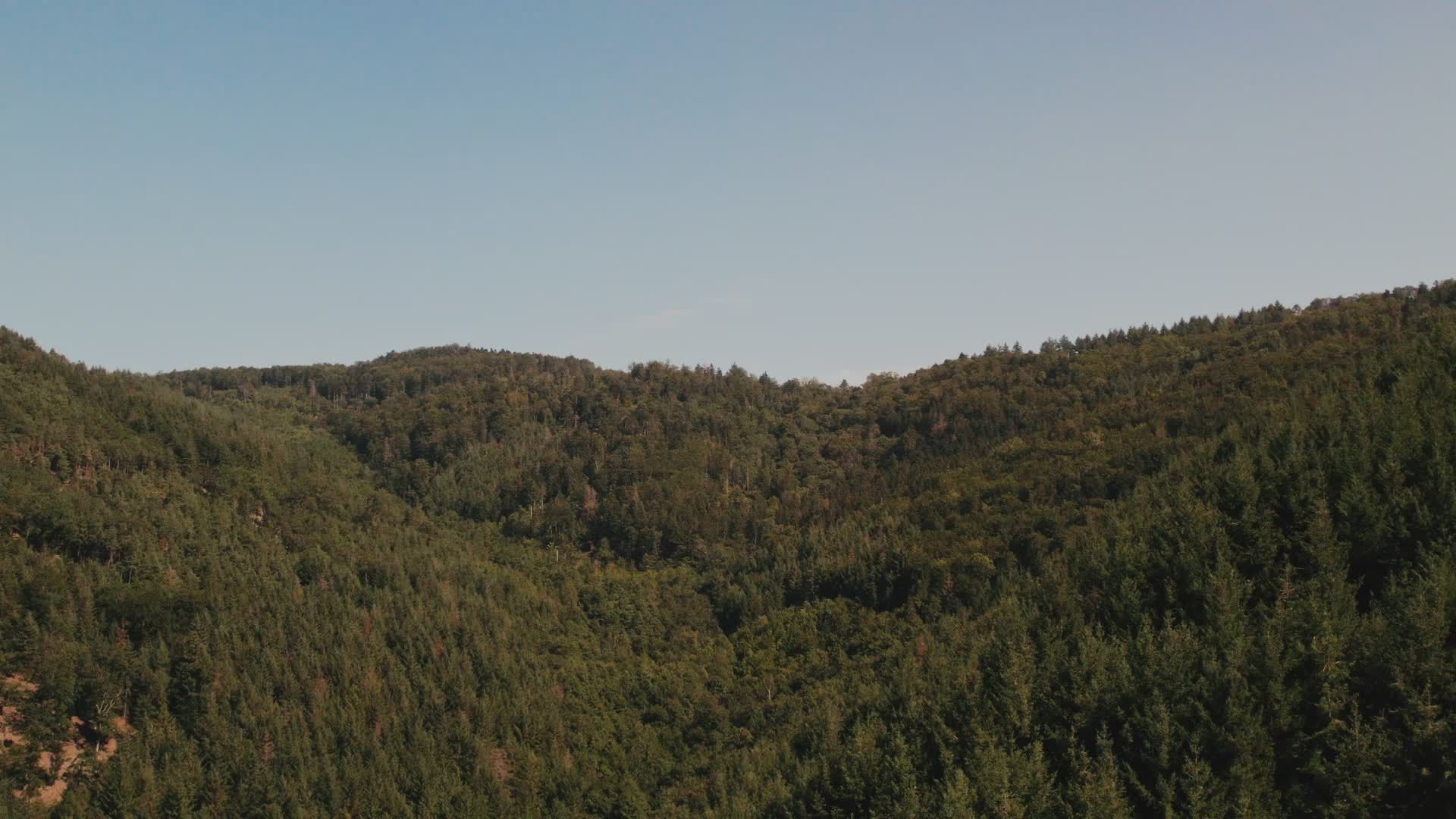 Video by Julien Goettelmann
