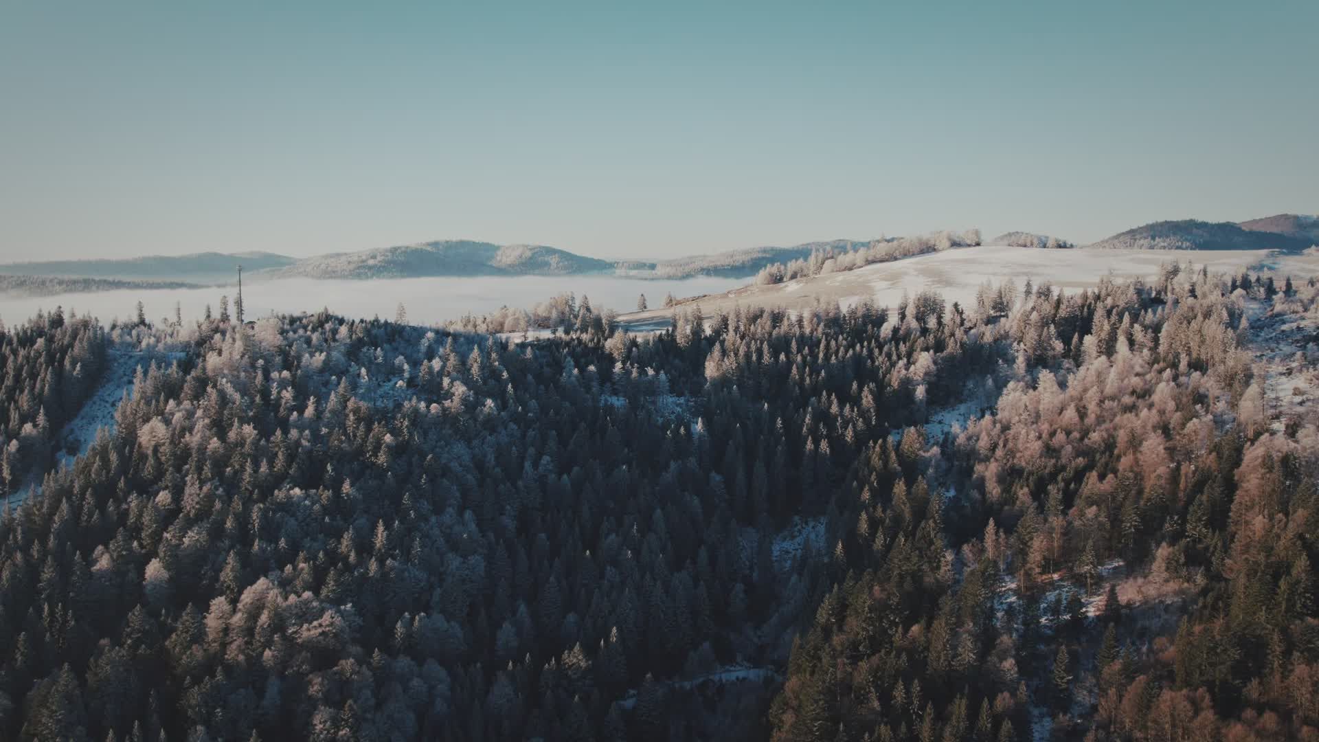 Aerial Winter View of Snowy Forest Mountain Free Stock Video Footage ...