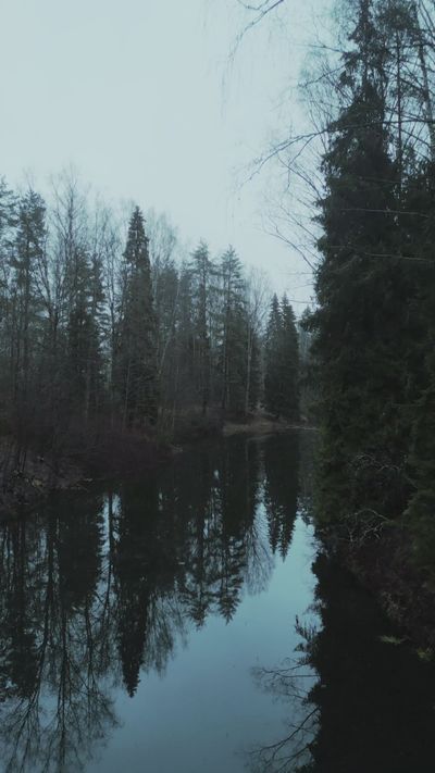 Darya Grey_Owl's nature timelapse video