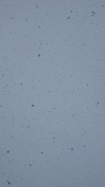 下雪高清视频视频素材视频素材