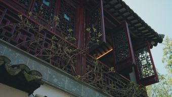 四合院视频素材