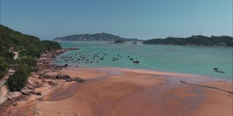 黑瞎子岛视频素材视频素材免费下载高清视频视频素材