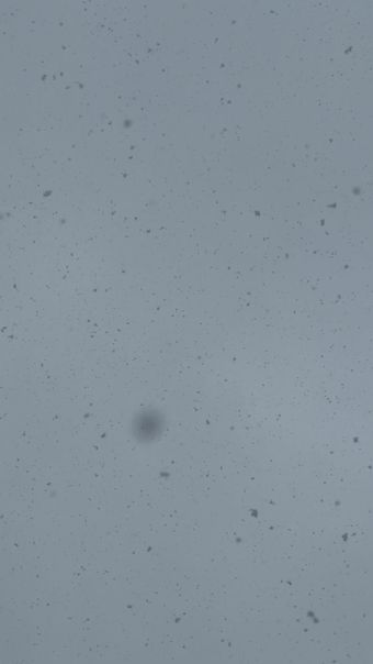 雪花视频素材