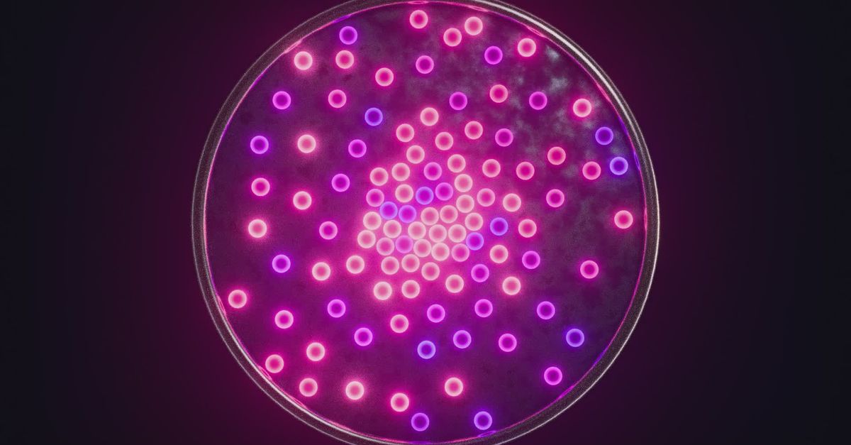 Led Light Pattern Simulation Vibrant LED Light Pattern in Circular Motion Free Stock Video Footage ...