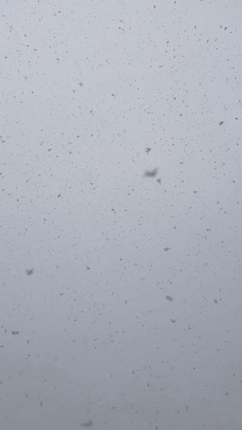 下雪高清视频视频素材视频素材