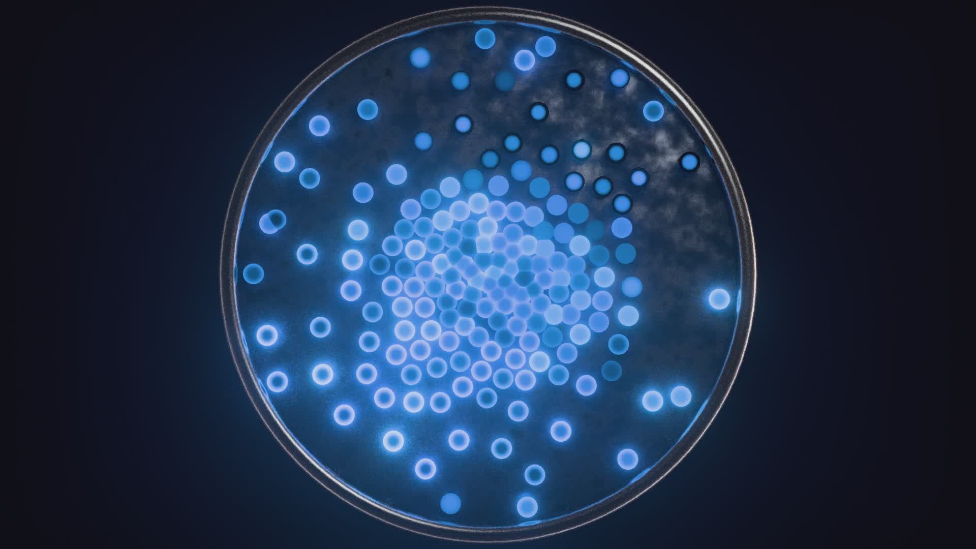 Video by Nicola Narracci