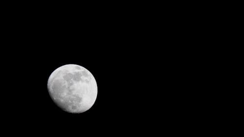 Tải video Moon miễn phí: Moon - một bức tranh đầy màu sắc và sức hút của bầu trời đêm. Nếu bạn đam mê thiên nhiên và yêu thích những hình ảnh đẹp, thì tải ngay video Moon miễn phí để cảm nhận sự tuyệt vời của tạo hóa. Chúng tôi sẽ cung cấp cho bạn những video tuyệt vời và hoàn hảo nhất, để bạn có thể tận hưởng những khoảnh khắc đáng nhớ nhất.
