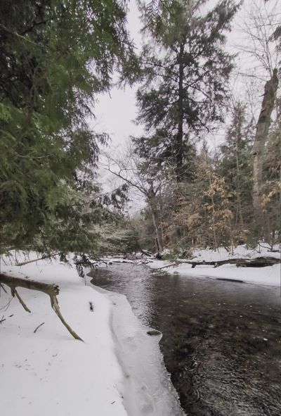Physical  Pixel's nature timelapse video