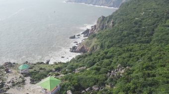 黑瞎子岛视频素材视频素材免费下载高清视频视频素材