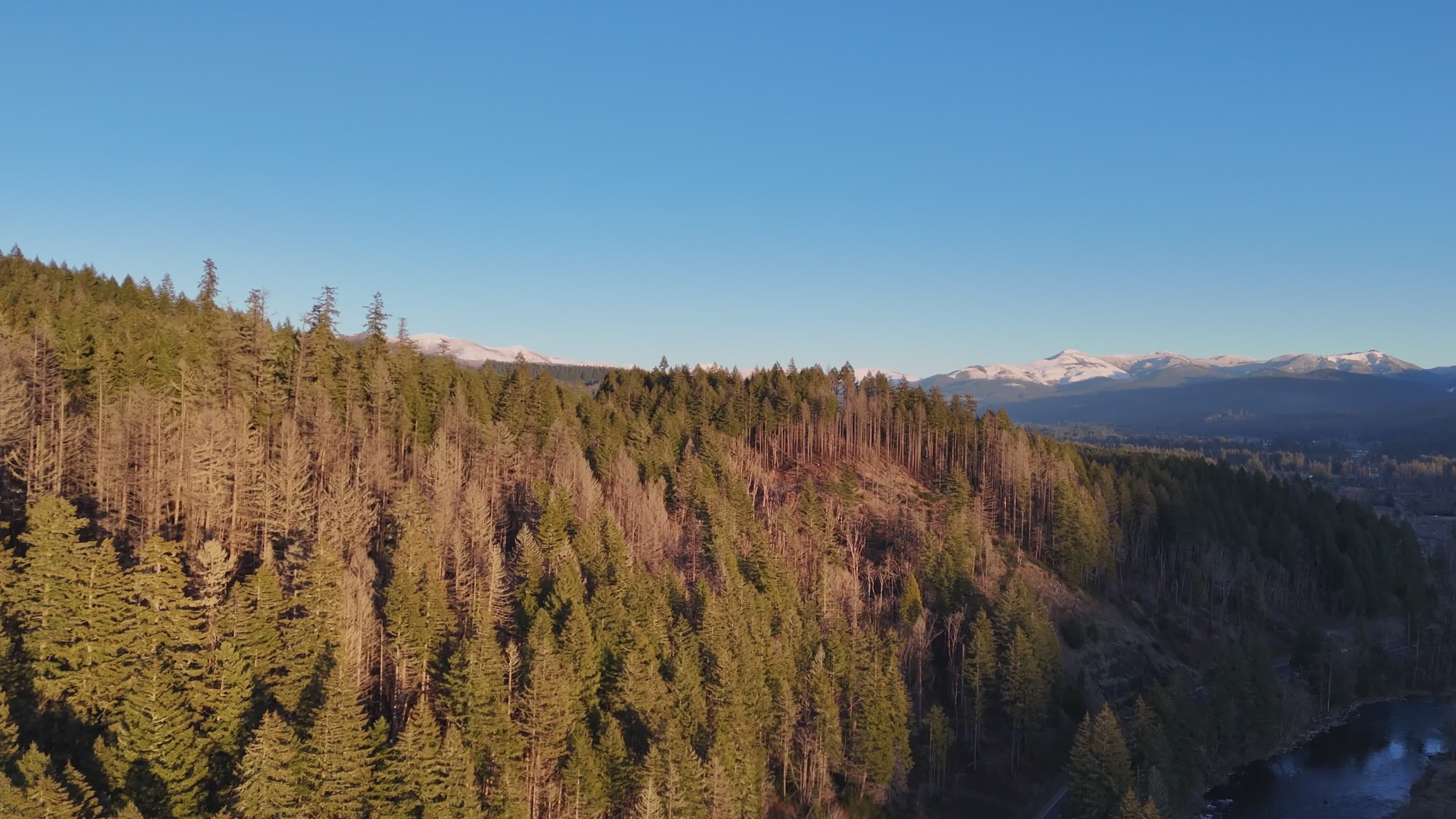 Scenic Aerial View of Forested Mountain Landscape Free Stock Video ...