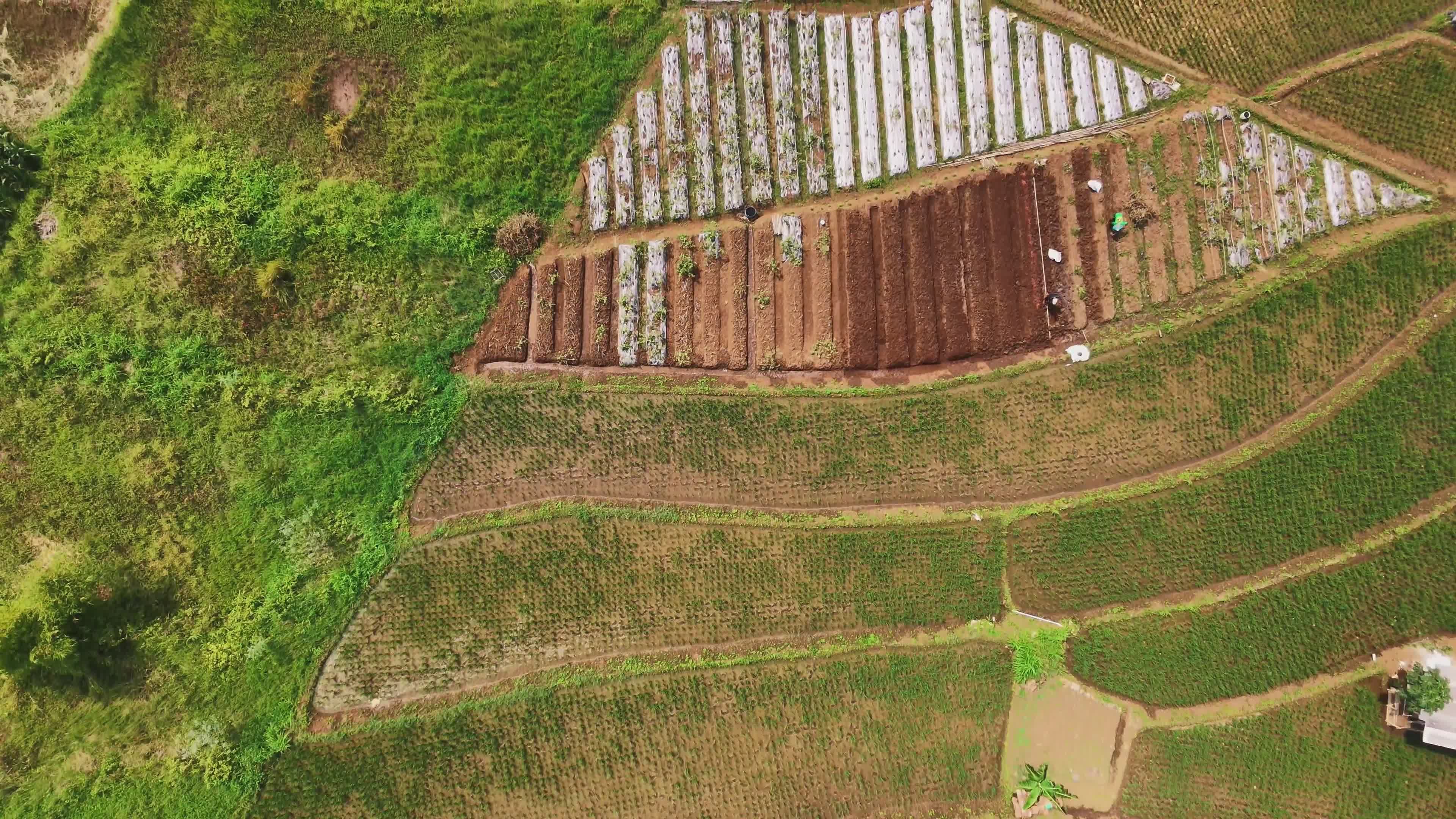 Drone Aerial View of Vibrant Farming Landscape Free Stock Video Footage ...