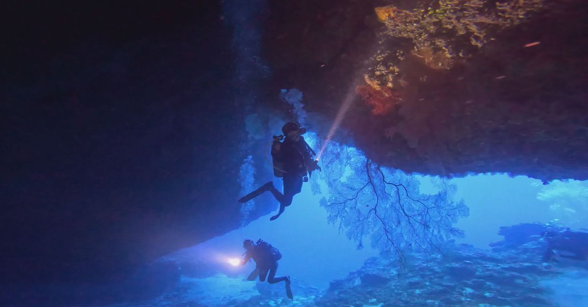 Cave Video Enchanting Underwater Cave Adventures Free Stock Video Footage, Royalty ...