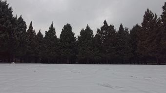 下雪免费下载视频素材