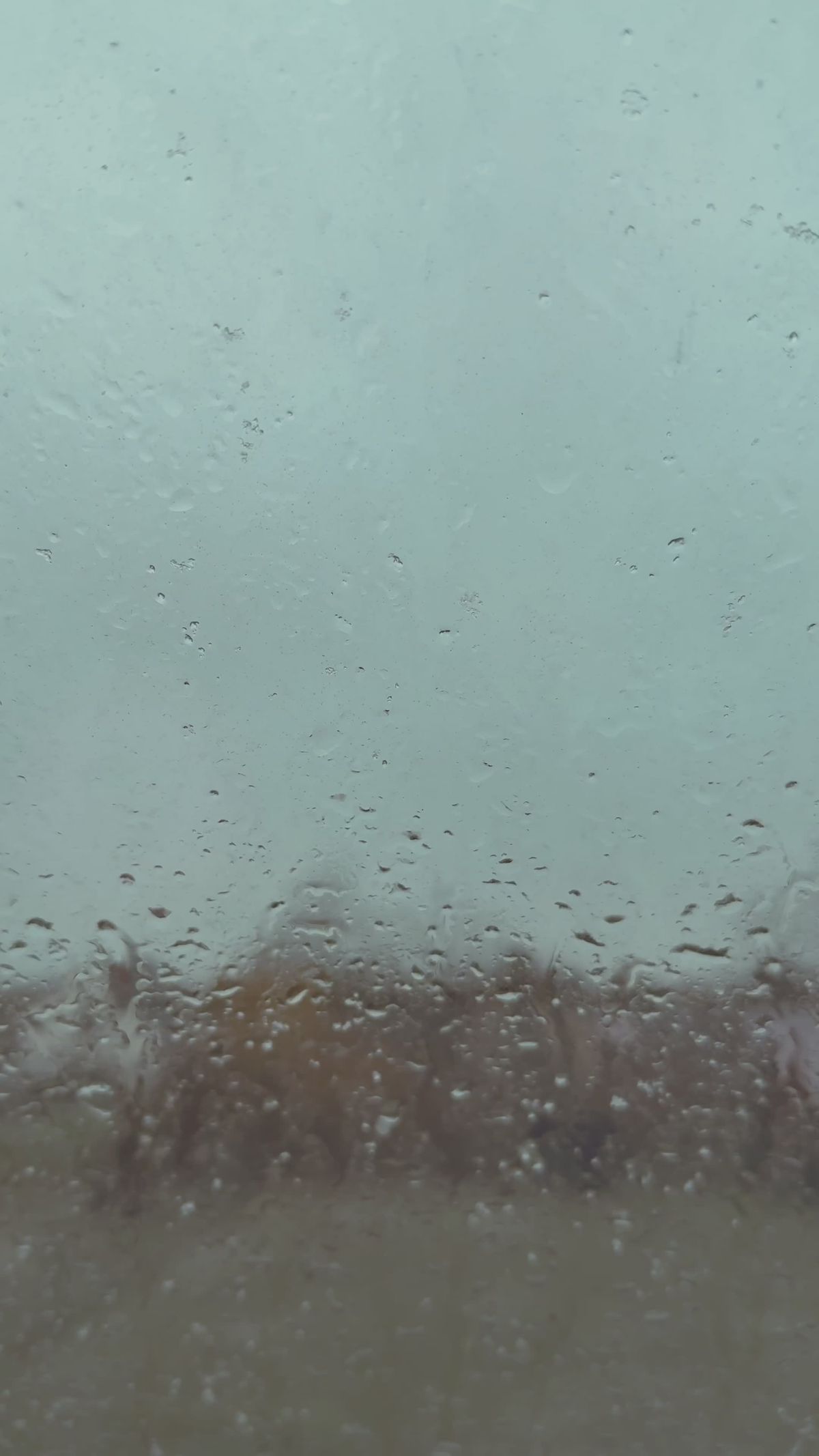 有关下雪的, 冬季, 冬季旅行, 动车, 垂直视频, 城市, 城市旅行, 城市景观, 多层建筑, 多雲的, 大雪覆盖的地面, 天性, 天氣 ...