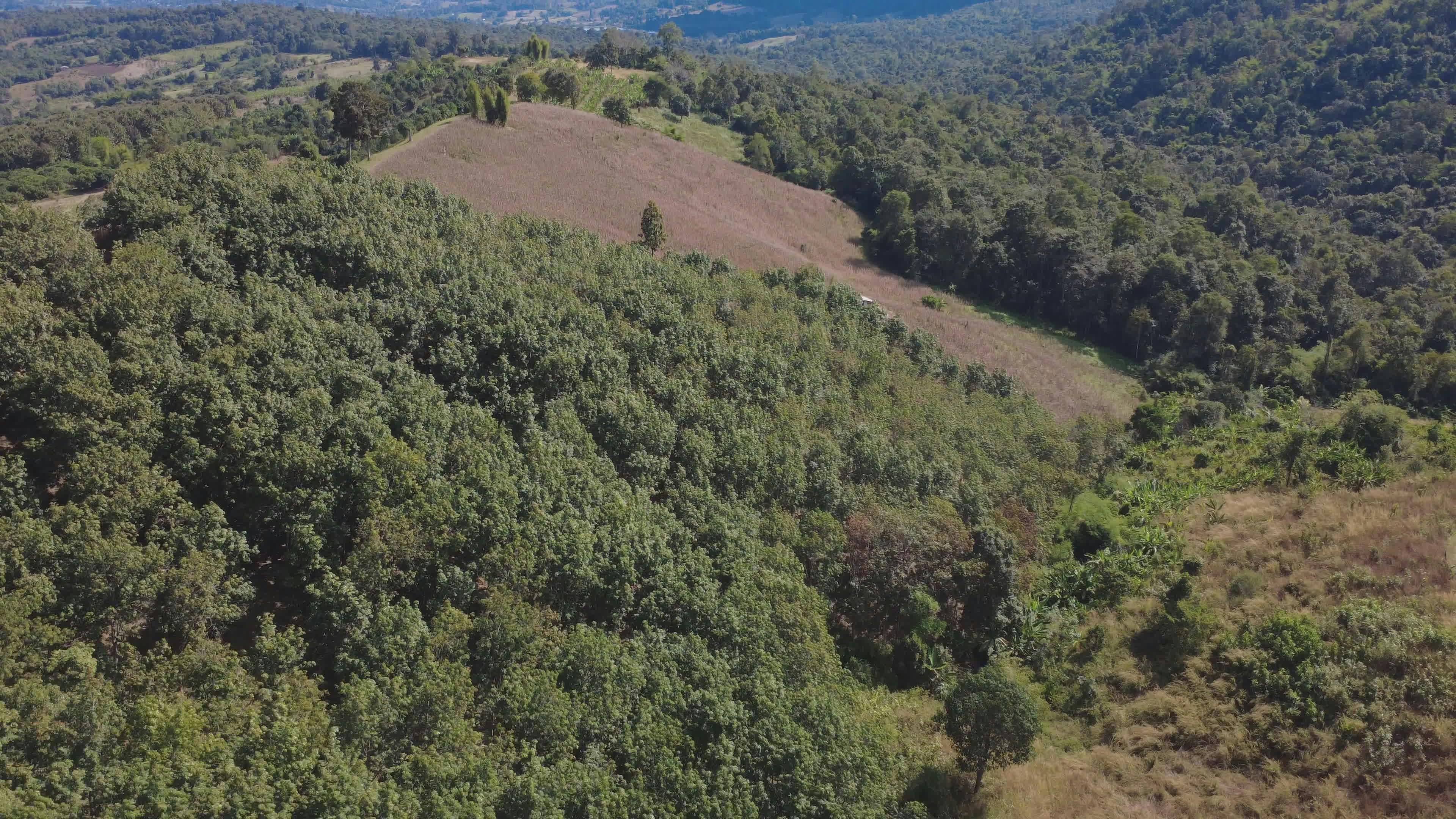 Video by Astrella Visuals