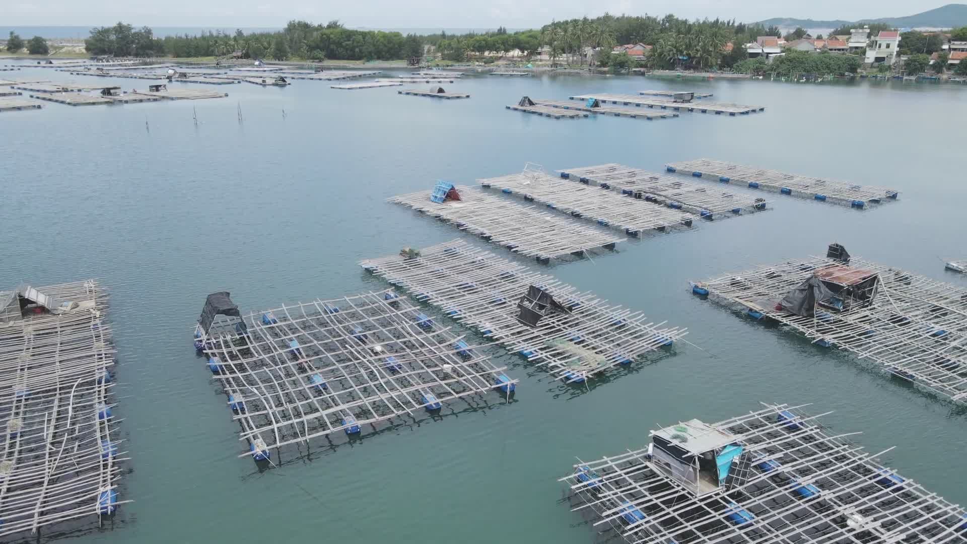 Aerial View of Fish Farming Platforms Free Stock Video Footage, Royalty ...