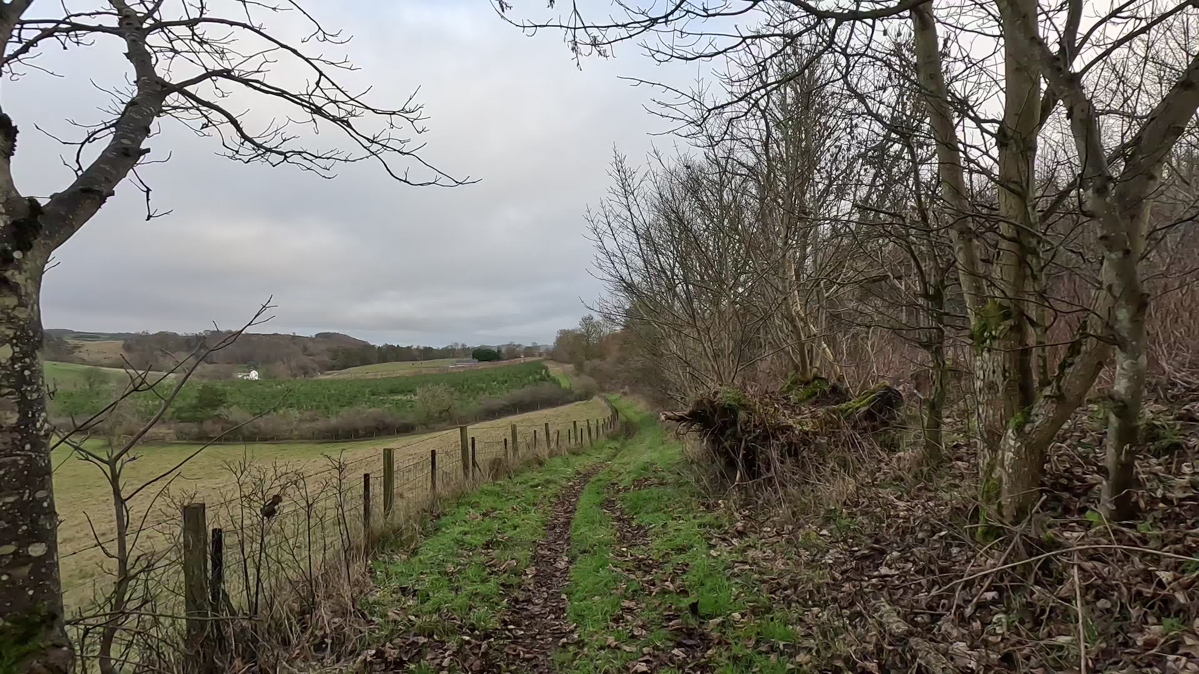 Scenic Rural Path in Early Spring Landscape Free Stock Video Footage ...