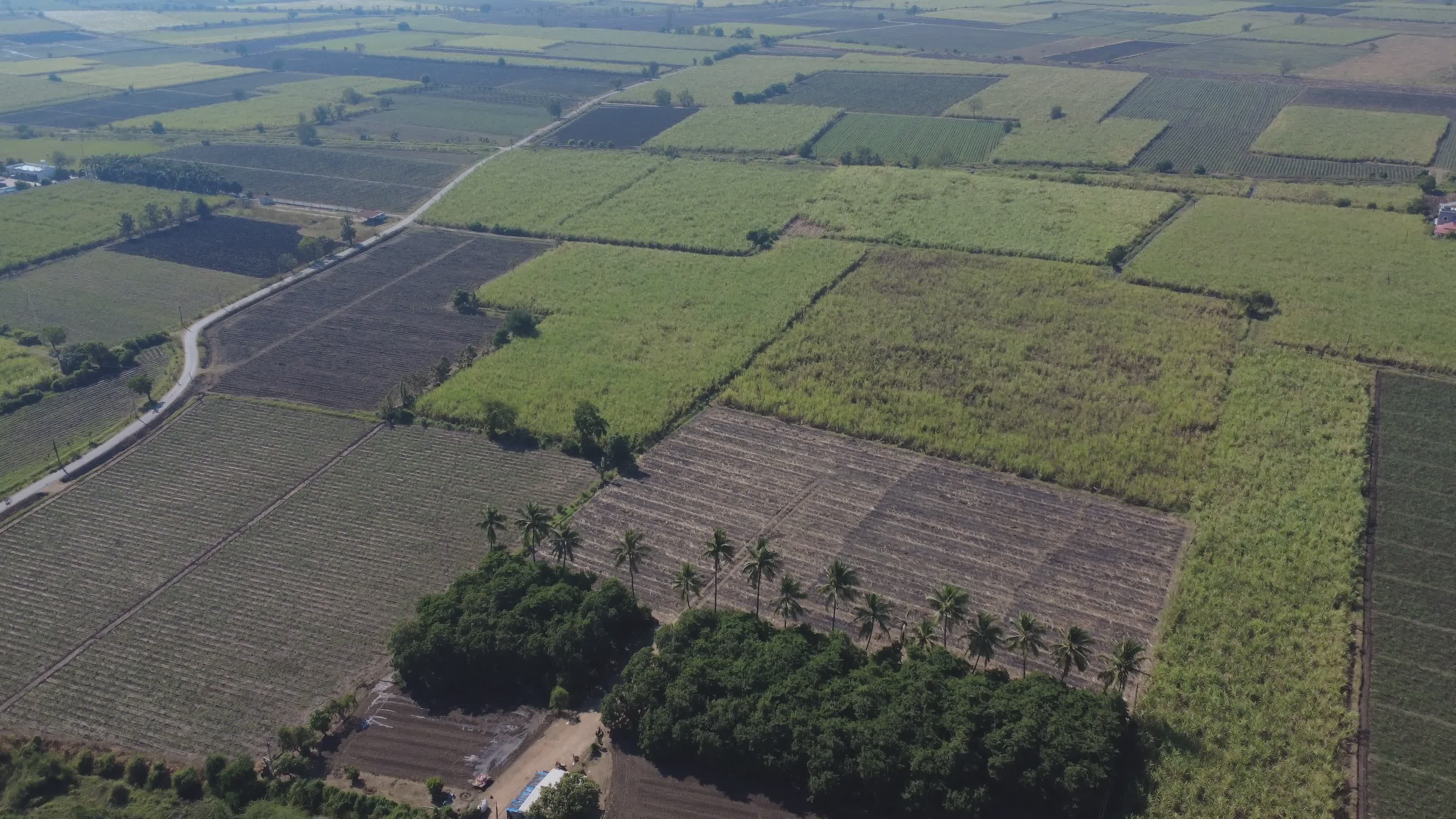 Aerial View of Lush Green Farmlands in Countryside Free Stock Video ...