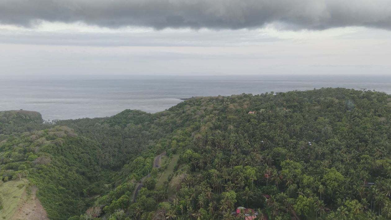 Aerial View of Lush Greenery and Ocean Free Stock Video Footage ...