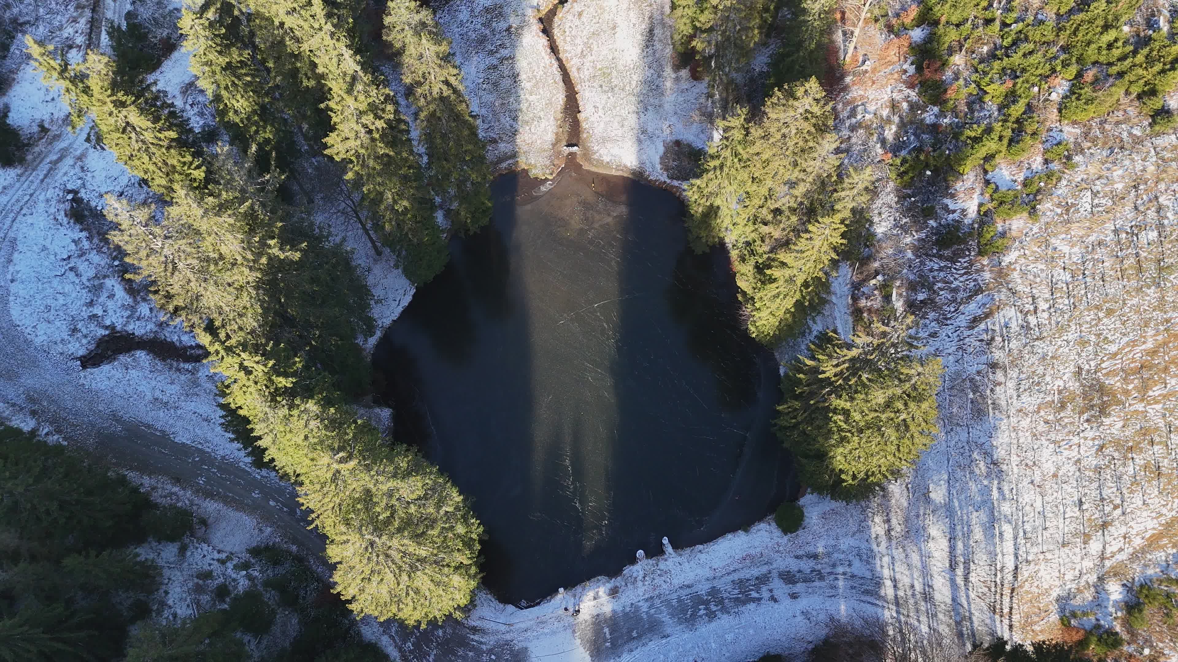 Drone Aerial View of Serene Forest Lake Free Stock Video Footage ...
