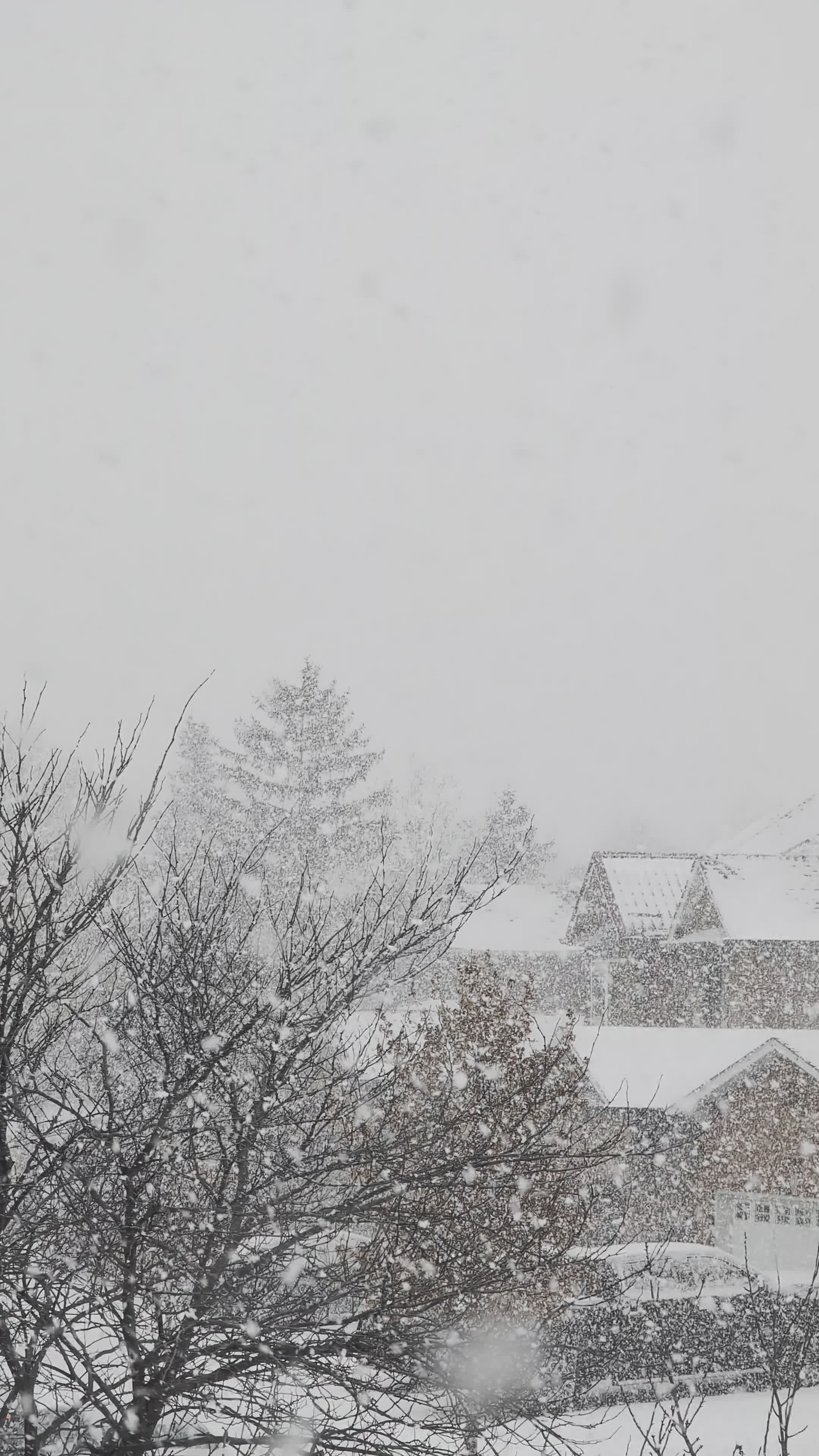 snowy village landscape in winter storm 35450523